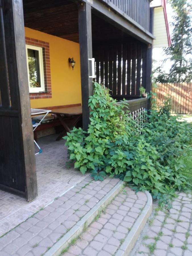 Domek Letniskowy Ali Przejma Wielka Exterior photo